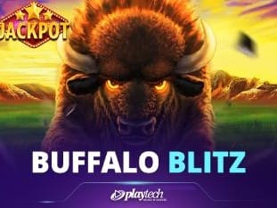 Buffalo Blitz game screenshot